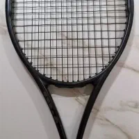 راکت تنیس ویلسون wilson|ورزشهای توپی|شیراز, فلکه گاز|دیوار