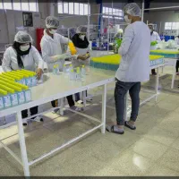 استخدام نیروی کار ( کارگر ساده )