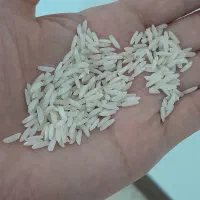 فروش برنج طارم هاشمی معطرومرغوب