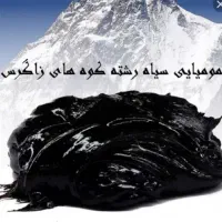 مومنایی اصل