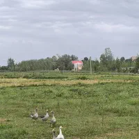 زمین-مسکونی-به-متراژ380متر