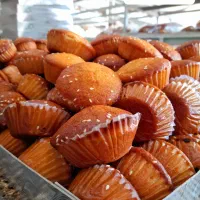 پخش کیک کلوچه پخت هر روز تازه|خوردنی و آشامیدنی|اهواز, سپیدار|دیوار