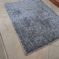 پادری پالاز