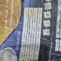 فرش 6متری(3*2)|فرش|رشت, کوی مهر|دیوار