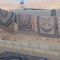 فرشینه|فرش|همایجان, |دیوار