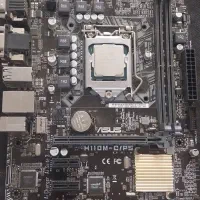 مادربرد ایسوز