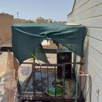 جفت کن کبوتر