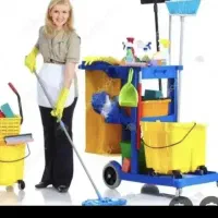 نظافت منزل ساعتی 700