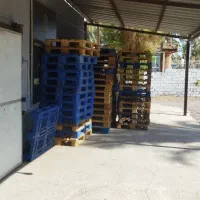 اجاره سالن بسته بندی همراه باسردخانه