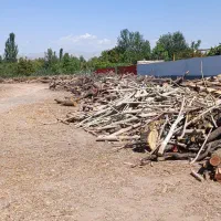 کارگر ساده ولی کاری|استخدام صنعتی، فنی، مهندسی|مرند, |دیوار