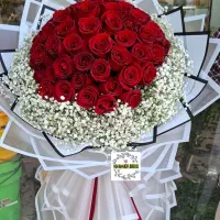 گل طبیعی|گل و گیاه طبیعی|کرمانشاه, |دیوار