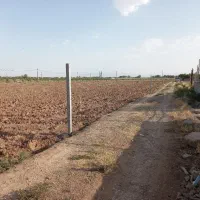 فروش زمین کشاورزی|فروش زمین و ملک کلنگی|نظرآباد, خسروآباد|دیوار