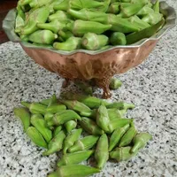 بامیه|خوردنی و آشامیدنی|اصفهان, بابوکان|دیوار
