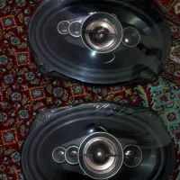 باند پایونیر