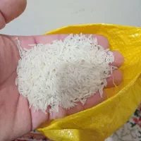 برنج دم سیاه صدری