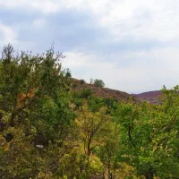 باغ الو ، در خرو ،خور،علیانیشابور