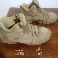 کیف و  کفش