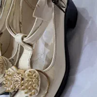 دو عدد کفش