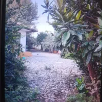 ویلا-و-زمین-2000-متری-تک-برگ-سند