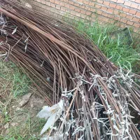 میلگرد هشت اژدار