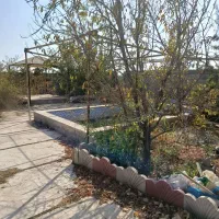 باغ با درخت قدیمی سند دار جیتو تبرئه کشاورزی|فروش خانه و ویلا|پاکدشت, پاکدشت (مامازند)|دیوار