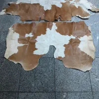 پوست گوساله