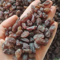 کشمش مناسب آبگیری عمده
