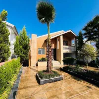 نیم پیلوت مشجر/پروانه پایانکار/معاوضه با طلا دلار