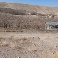 فروش-باغ-نقلی-اسکو-جاده-گنبرف-کوی-گلستان