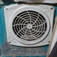 کولرابی کوچک 2800