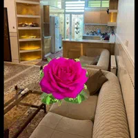 اجاره روزانه/هفتگی/ماهانه تک واحدی همکف دوخوابه|اجارهٔ کوتاه‌مدت آپارتمان و سوئیت|قم, عمار یاسر|دیوار