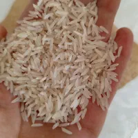 برنج فجر سوزنی امساله