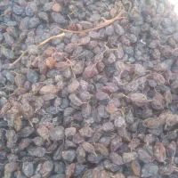 کشمش افتابی،بدون تیزاب