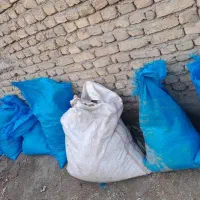 کود گوسفندی