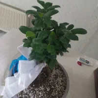 خانه مسکونی برای اجاره‌  خانواده