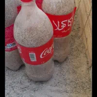 بذرکشاورزی ودارویی