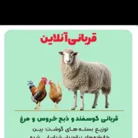 عرضه گوسفند زنده قزوین وحومه (قصاب سیار)