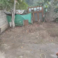 اجاره ویلا حیاط مشترک|اجارهٔ خانه و ویلا|ماسال, |دیوار