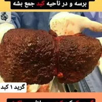 مزاج شناسی|خدمات آموزشی|شیراز, عفیف‌آباد|دیوار
