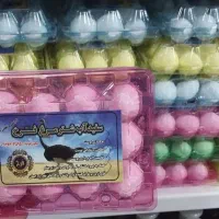 سفیداب شترمرغ