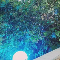 خانه-ی-اجاره-ای-راه-جدا