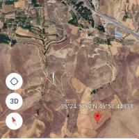 مجوز مرغداری 20 هزار قطعه‌ای