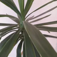 نظافت ساختمان