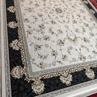 فرش نفیس|فرش|اهواز, کمپلو شمالی|دیوار