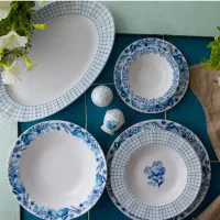 سرویس چینی اراگل زرین