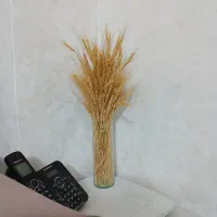 کار در منزل