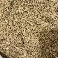 برنج قهوه ای(رژیمی)