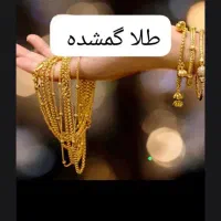 یک قطعه طلا گم شده