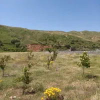 فروش زمین 800 متری در سیوان قوری چای