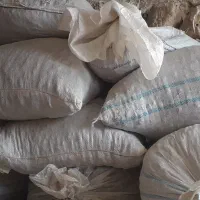 ضایعات خرما یا گنگ